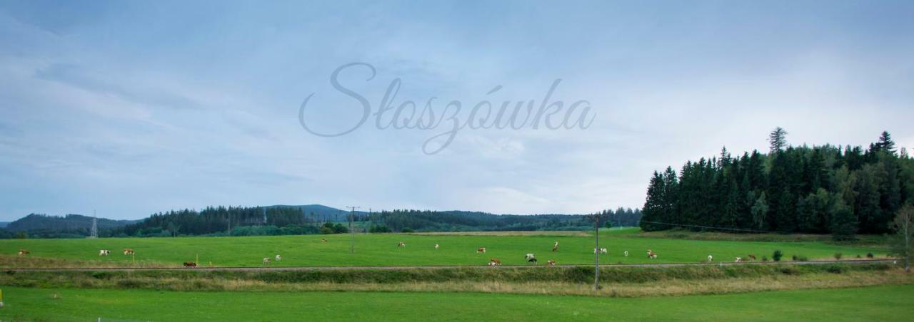 Agroturystyka Sloszowka Duszniki Zdroj Luaran gambar